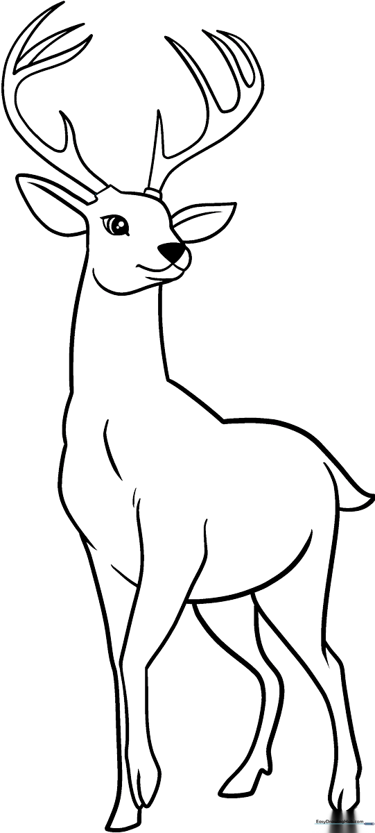 Black and white line art of a cute cartoon deer standing, featuring clear outlines perfect for children to color with crayons or markers.