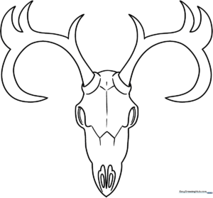 Detailed line art of a deer skull with branching antlers, designed as a printable coloring activity for children.