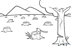 Educational coloring sheet showing a landscape transition from a lush forest to a cleared area, designed to teach children about deforestation.