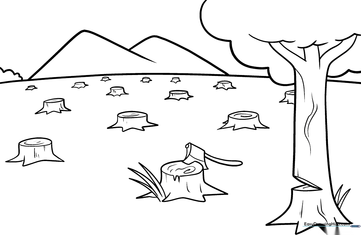 Educational coloring sheet showing a landscape transition from a lush forest to a cleared area, designed to teach children about deforestation.