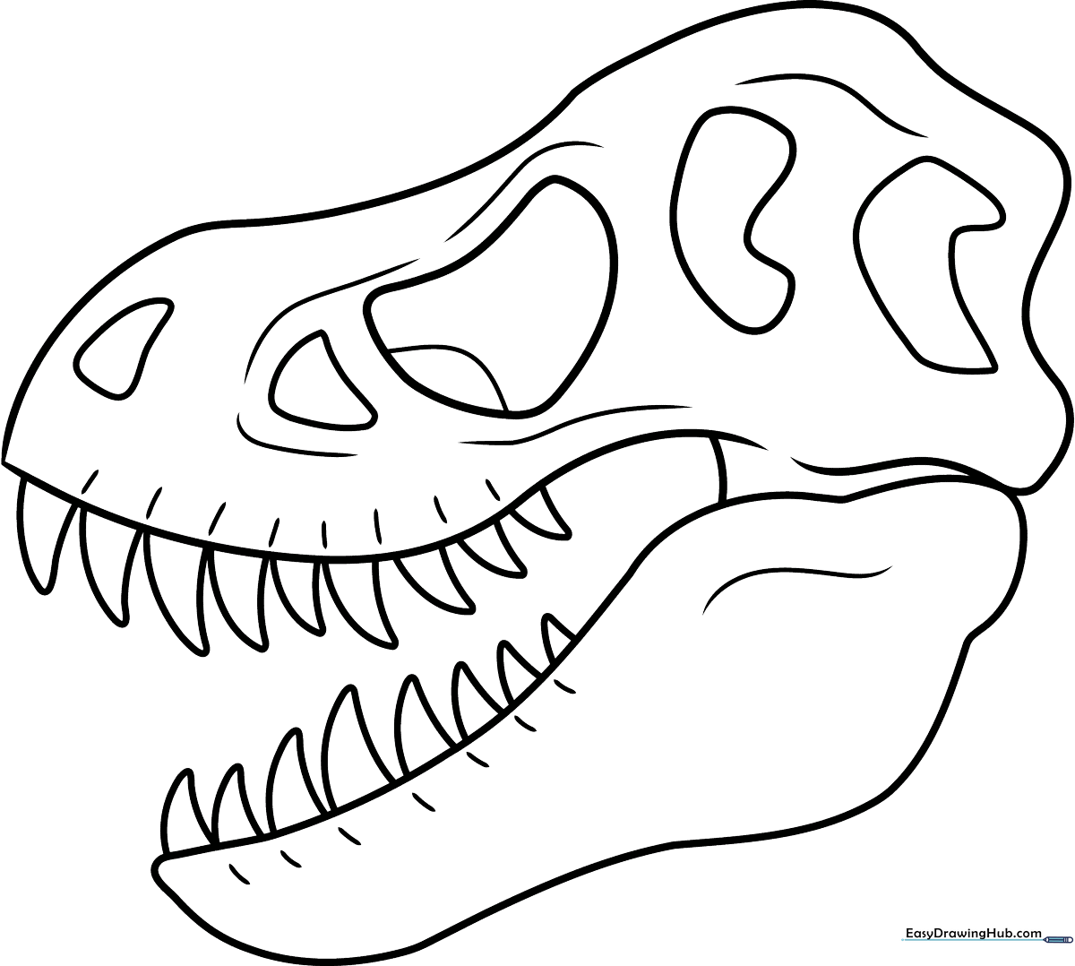 Detailed black and white line art of a T-Rex style dinosaur skull, featuring sharp teeth and defined eye sockets, ready for educational coloring.