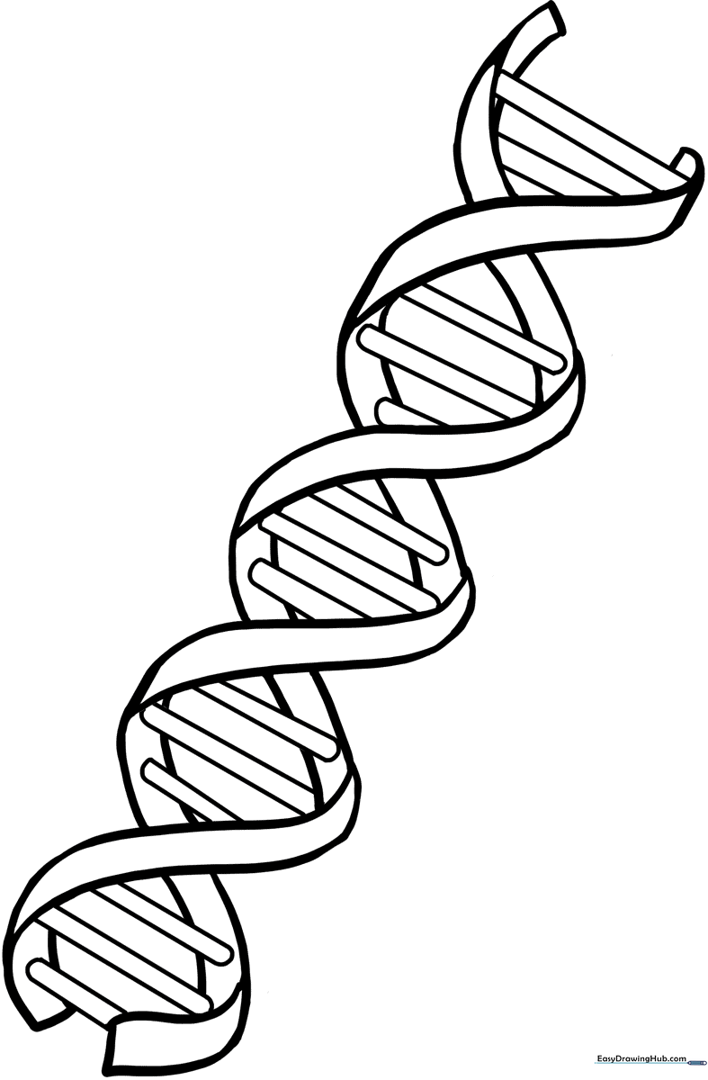 Black and white line art of a DNA double helix structure with clear, bold outlines for easy coloring by children.
