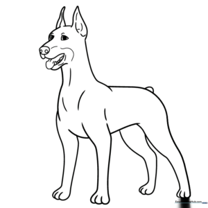 A clean, black-and-white line art illustration of a friendly Doberman dog standing, designed for children to color with crayons or markers.