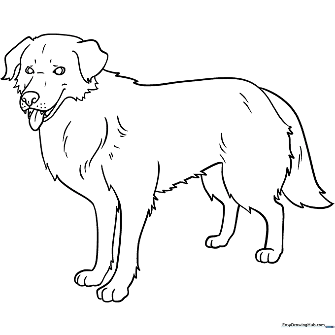 Realistic Dog Coloring Sheet