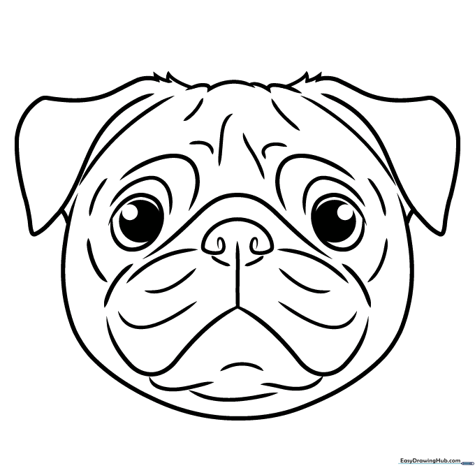 Pug Face Coloring Sheet