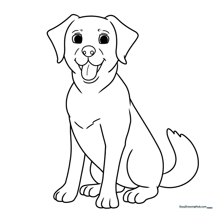 Labrador Coloring Sheet