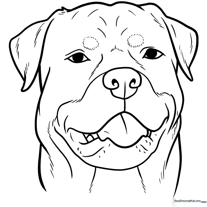 Dog Face Coloring Sheet