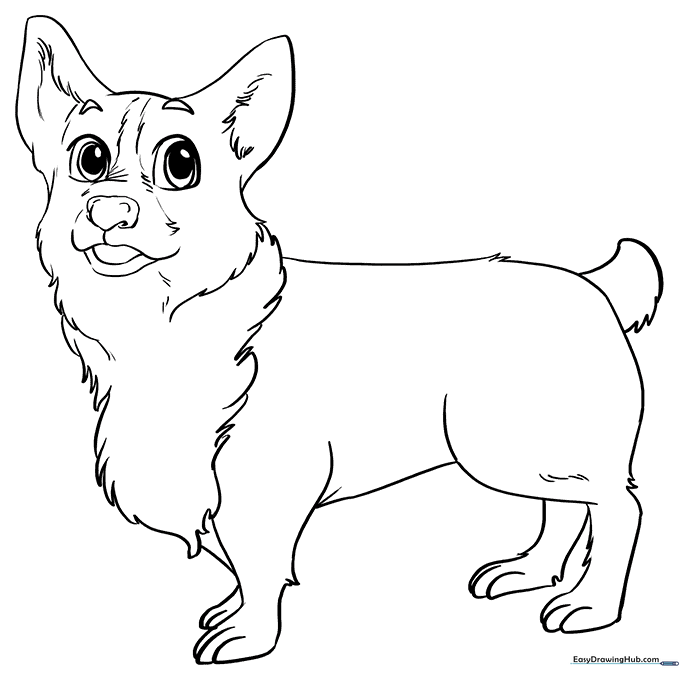 Corgi Coloring Sheet