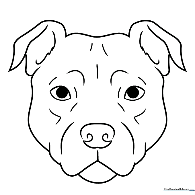 Pitbull Face Coloring Sheet