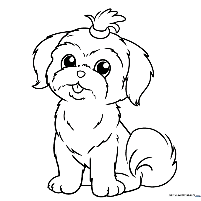 Shih Tzu Coloring Sheet