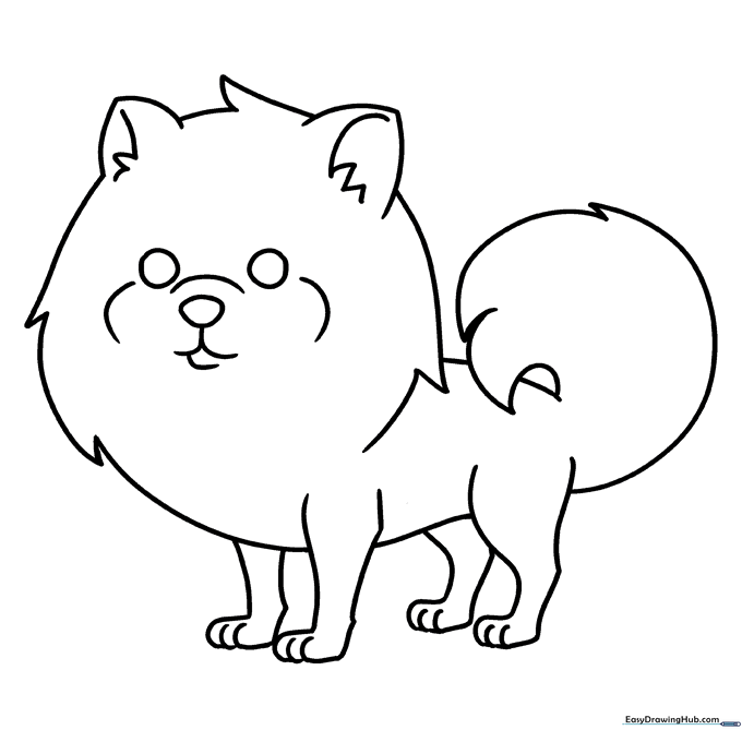 Pomeranian Coloring Sheet