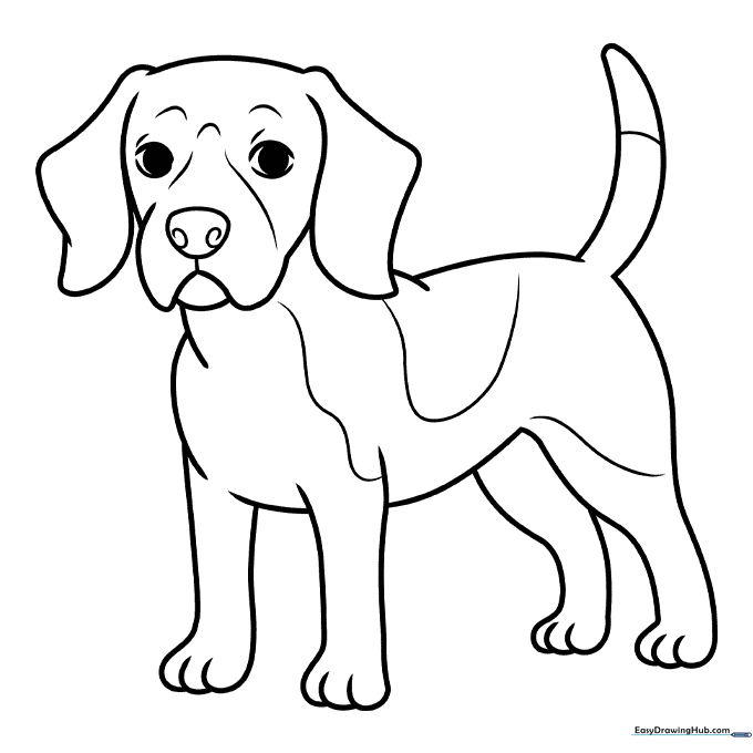 Beagle Coloring Page