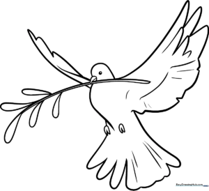 Black and white line art of a dove in flight, featuring clear outlines for easy coloring and educational practice.