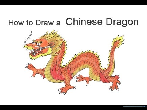 Chinese Festival Dragon