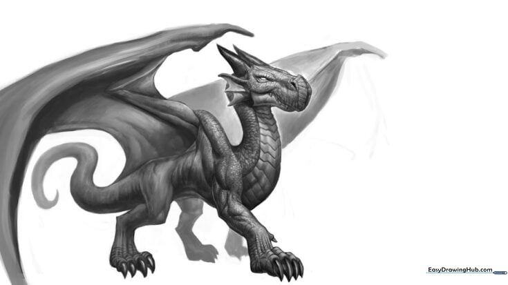 Dragon Anatomy