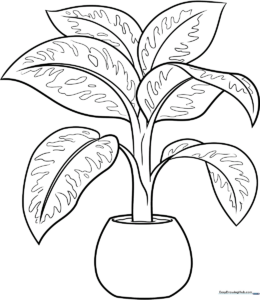 Black and white line art of a potted Dumb Cane plant with broad, variegated leaves, ready for coloring.
