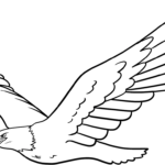 Detailed line art of a soaring eagle with spread wings, designed for children to color with markers or crayons.