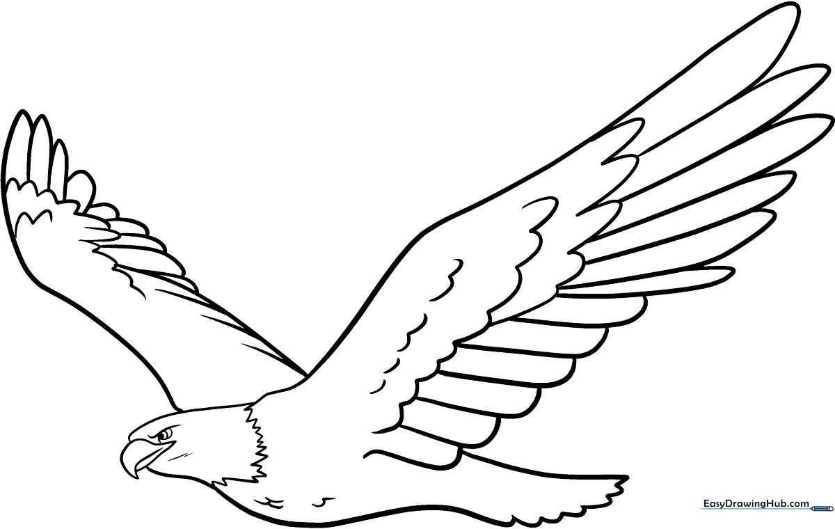 Detailed line art of a soaring eagle with spread wings, designed for children to color with markers or crayons.