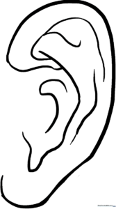 Black and white line art of a human ear with clear, bold outlines for easy coloring by children