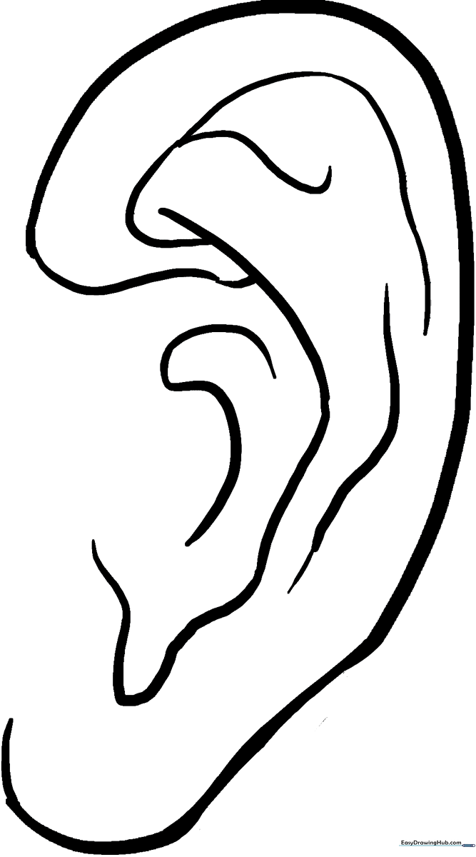 Black and white line art of a human ear with clear, bold outlines for easy coloring by children