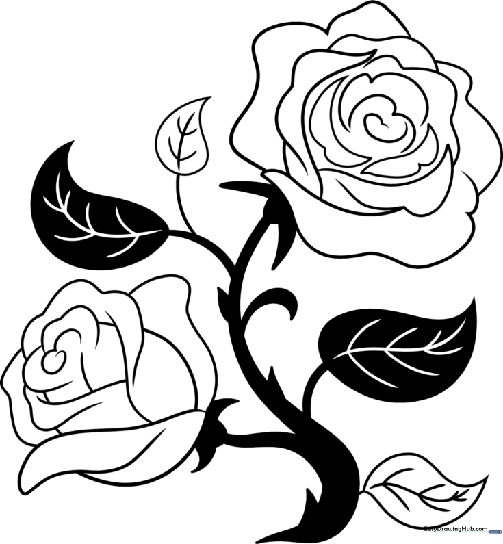 Black and White Rose