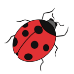 104 Easy Animal Drawing Tutorials for Kids & Beginners