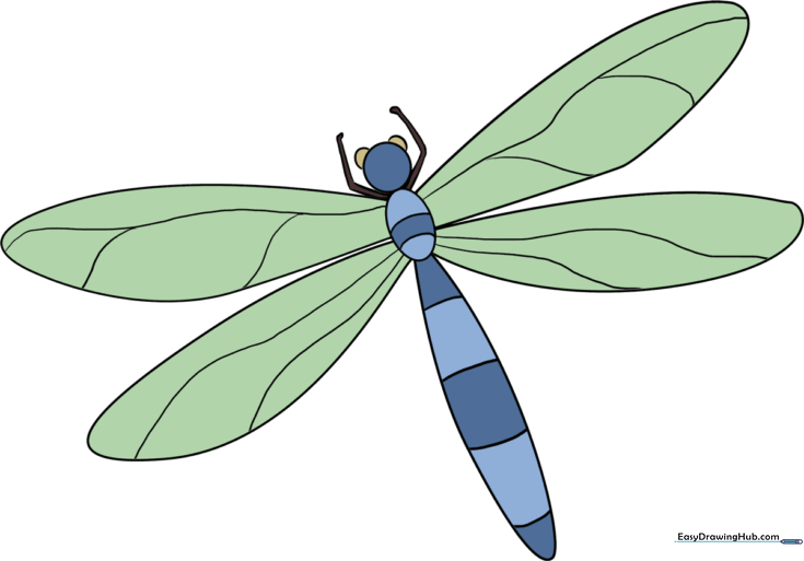 How to Draw a Dragonfly