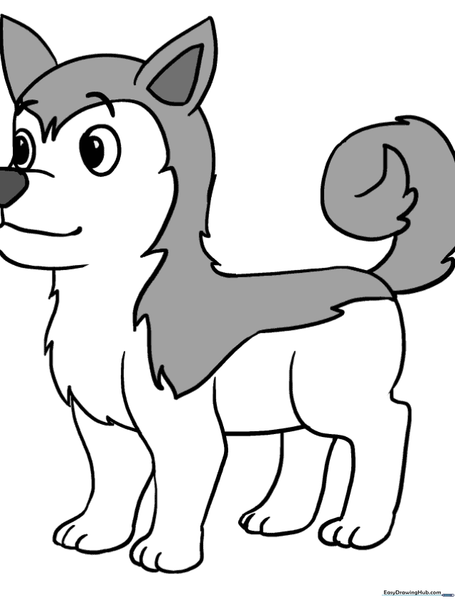 How to Draw a Husky
