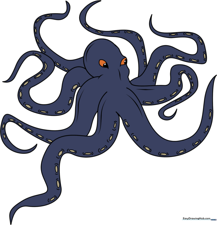 How to Draw the Kraken