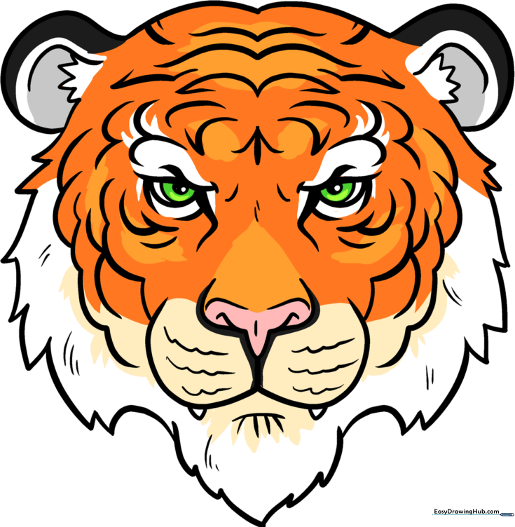 How to Draw a Tiger Face