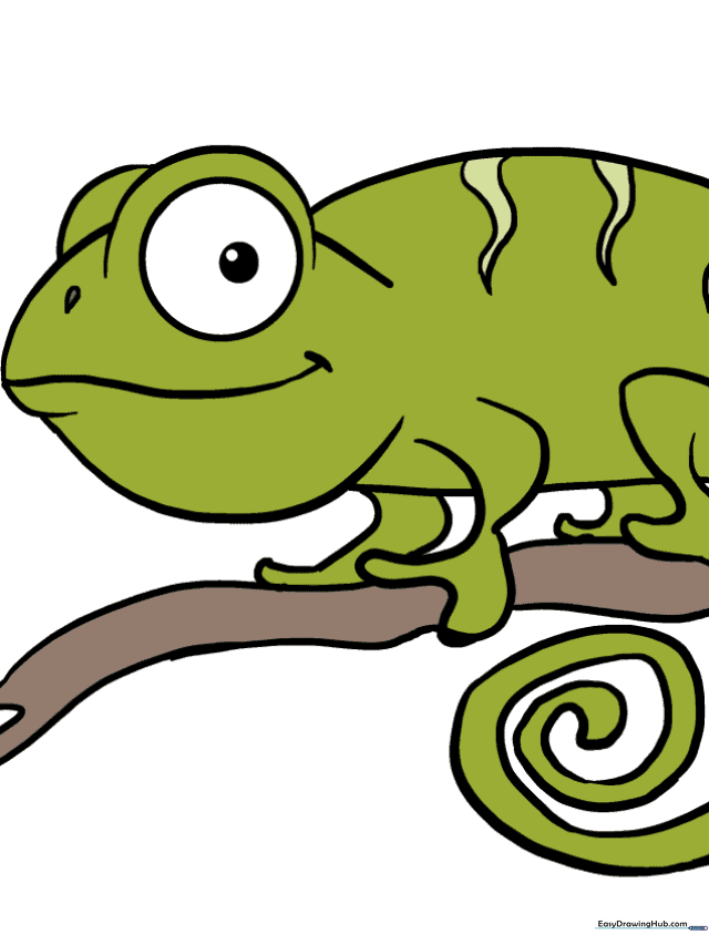 How to Draw a Chameleon
