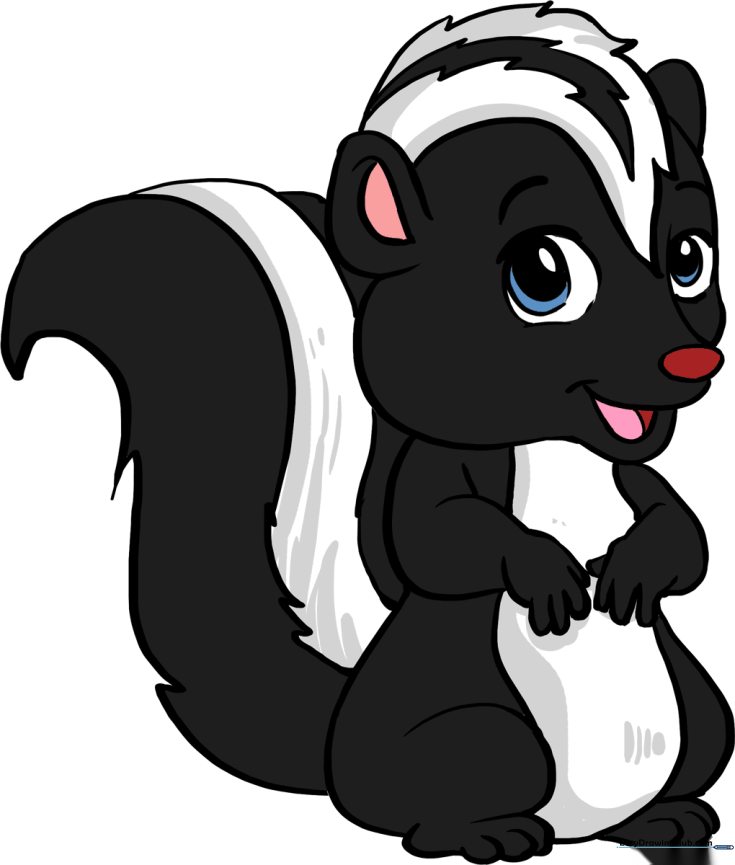How to Draw a Skunk