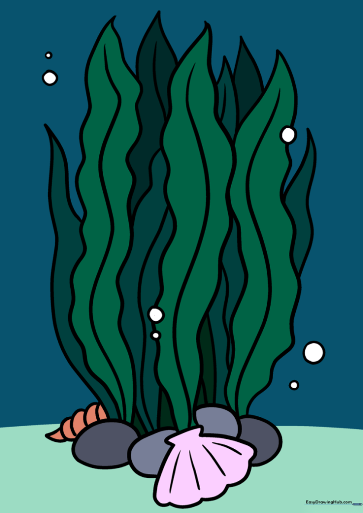 Seaweed