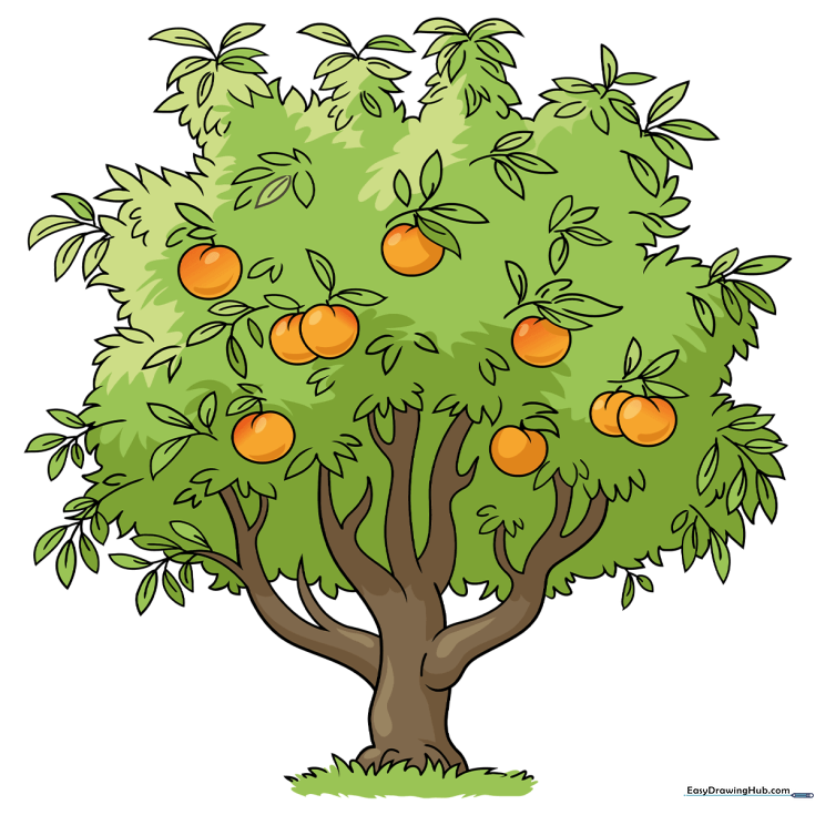 Abundant Peach Tree