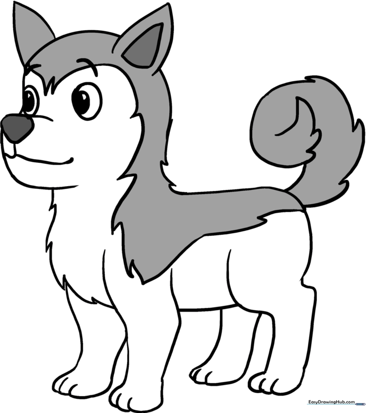 Friendly Husky
