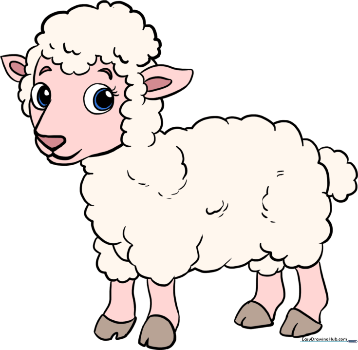 Fluffy Lamb