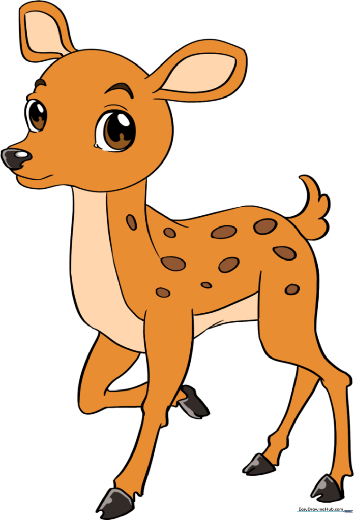 Baby Deer