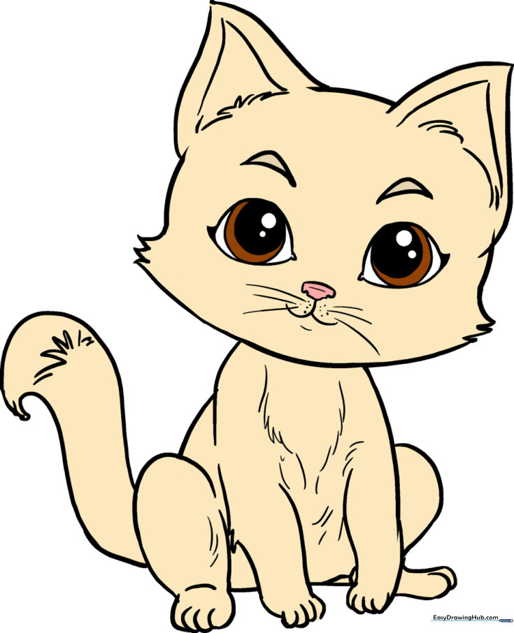 Kitten