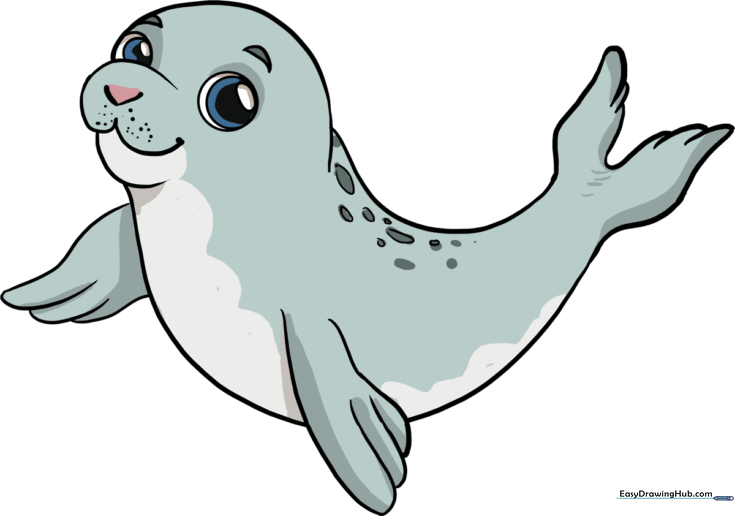 Baby Seal
