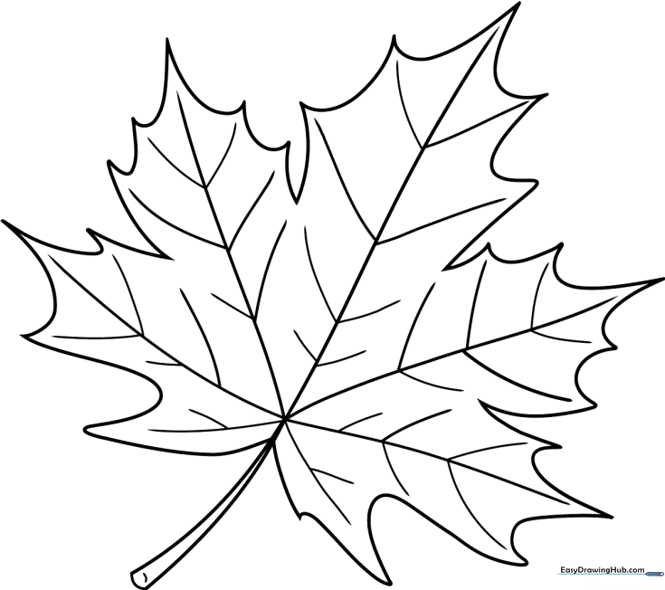 Leaf