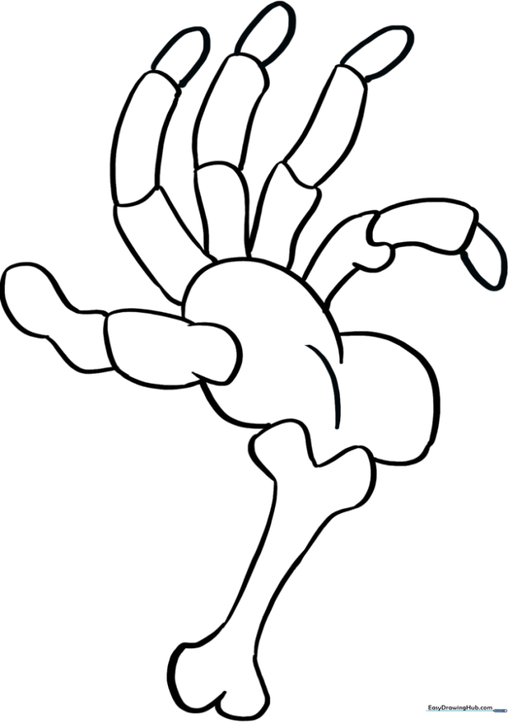 Skeleton Hand