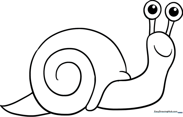 Snail