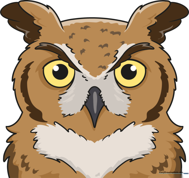 Realistic Owl Face