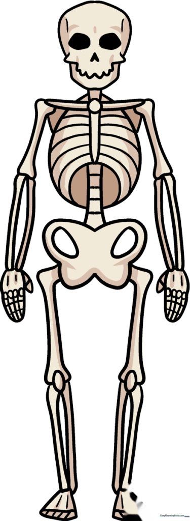 Easy Skeleton