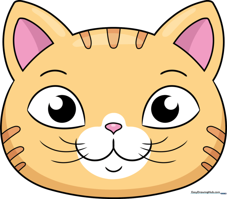 Easy Cat Face