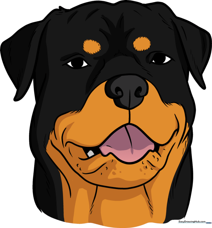 Dog Face