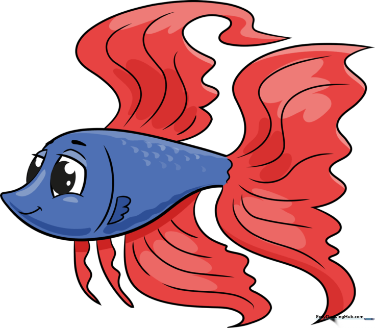 Flowing Betta Fish