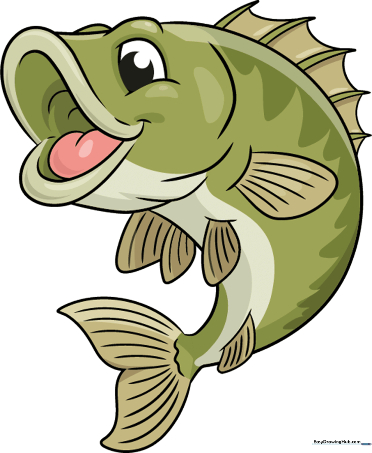Bass