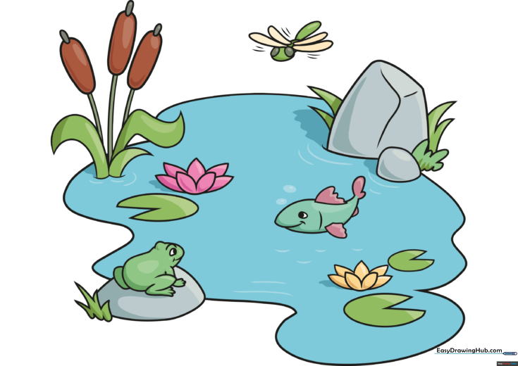 Pond