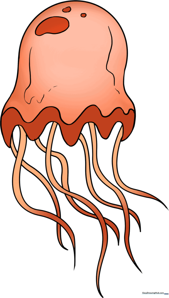 Jellyfish